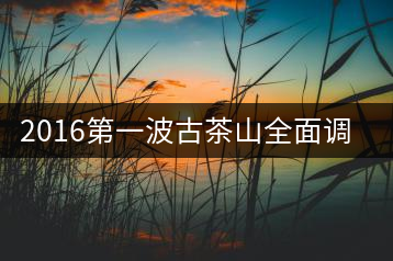 2016第一波古茶山全面調(diào)研第四站——臨滄·大雪山、小戶賽