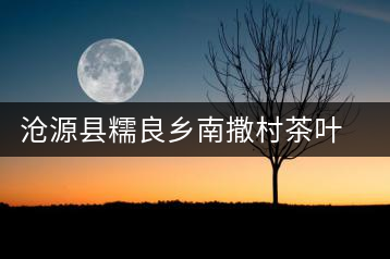 滄源縣糯良鄉(xiāng)南撒村茶葉初制所
