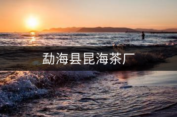 勐?？h昆海茶廠