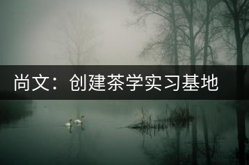 尚文：創(chuàng)建茶學(xué)實習(xí)基地努力推廣茶文化
