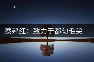 蔡邦紅：致力于都勻毛尖的深加工