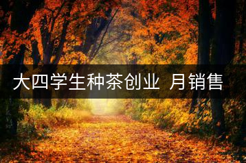 大四學(xué)生種茶創(chuàng)業(yè)  月銷(xiāo)售額超五十萬(wàn)
