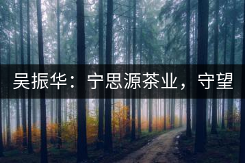 吳振華：寧思源茶業(yè)，守望家鄉(xiāng) 做好“金獎茶王”