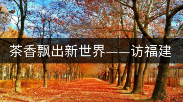 茶香飄出新世界——訪(fǎng)福建省天榮茶業(yè)有限公司董事長(zhǎng)沈丞榮
