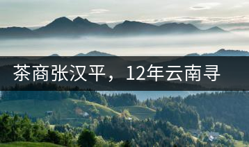 茶商張漢平，12年云南尋茶路
