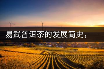 易武普洱茶的發(fā)展簡(jiǎn)史，昔日的貢茶如今依然輝煌