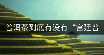 普洱茶到底有沒(méi)有“宮廷普洱”一說(shuō)？它到底是什么？