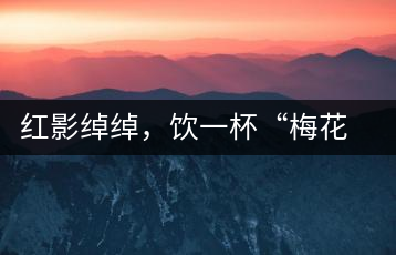 紅影綽綽，飲一杯“梅花”醉