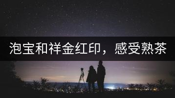 泡寶和祥金紅印，感受熟茶之美。