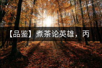 【品鑒】煮茶論英雄，丙申年易武麻黑