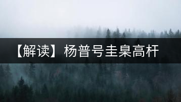 【解讀】楊普號(hào)圭臬高桿茶：形高、氣足、韻遠(yuǎn)的一款茶