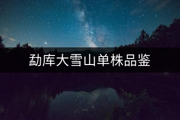 勐庫大雪山單株品鑒