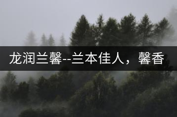龍潤蘭馨–蘭本佳人，馨香高雅