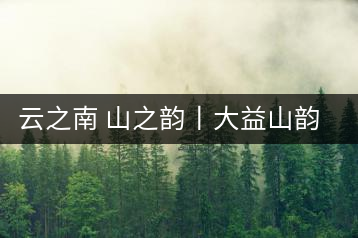 云之南 山之韻丨大益山韻，“韻”味傳奇之山韻歸來