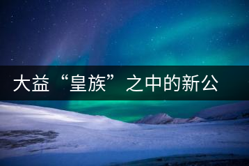 大益“皇族”之中的新公主鳳凰格格甜美來(lái)襲