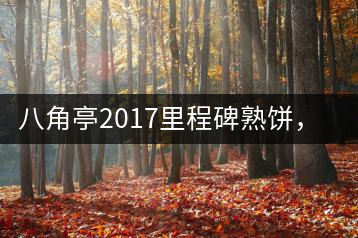 八角亭2017里程碑熟餅，自先發(fā)酵而后愛人
