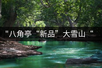 “八角亭“新品”大雪山“即將上市，期待您的品茗！