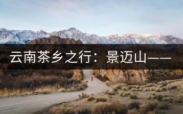 云南茶鄉(xiāng)之行:景邁山——螃蟹腳