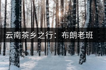 云南茶鄉(xiāng)之行:布朗老班章