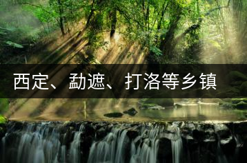 西定、勐遮、打洛等鄉(xiāng)鎮(zhèn)古茶樹資源