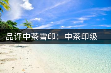 品評中茶雪?。褐胁栌〖壊璧慕?jīng)典傳承