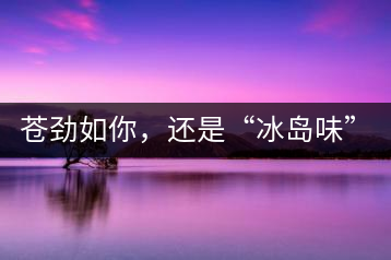 蒼勁如你，還是“冰島味”嗎？