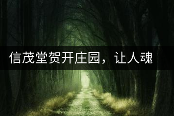 信茂堂賀開(kāi)莊園，讓人魂?duì)繅?mèng)繞的名山古樹(shù)茶