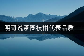 明哥說茶圈枝柑代表品質高點，是玩家級的產(chǎn)品
