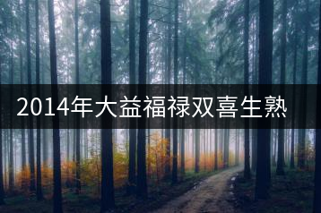 2014年大益福祿雙喜生熟茶共同品鑒