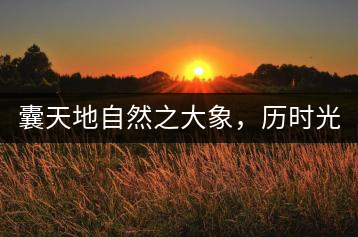 囊天地自然之大象，歷時光十載流轉(zhuǎn)-皇茶一號