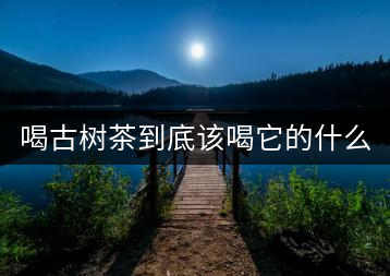 喝古樹茶到底該喝它的什么？