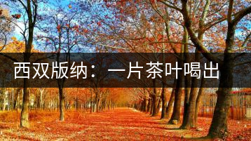 西雙版納：一片茶葉喝出億元產業(yè)