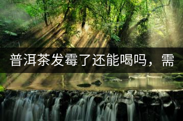 普洱茶發(fā)霉了還能喝嗎，需要怎么處理？