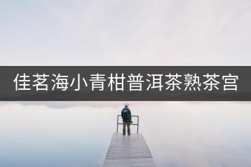 佳茗海小青柑普洱茶熟茶宮廷特級(jí)新會(huì)桔橘陳皮古樹普洱茶葉600g