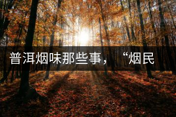 普洱煙味那些事，“煙民”不怕當(dāng)