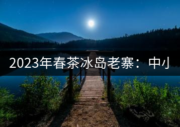 2023年春茶冰島老寨：中小樹混采2500-3000元／公斤，大樹：7000-8000元／公斤，古樹混采：28000-36000元／公斤
