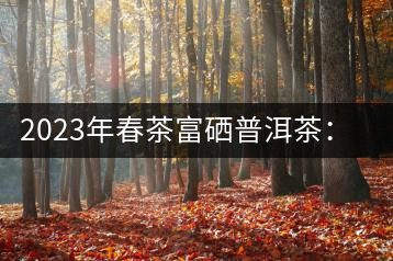 2023年春茶富硒普洱茶：1.富硒有機(jī)手工生普，市場(chǎng)指導(dǎo)價(jià)800元／公斤；2.富硒有機(jī)一級(jí)紅茶，市場(chǎng)指導(dǎo)價(jià)800元／公斤；3.富硒有機(jī)熟普餅，市場(chǎng)指導(dǎo)價(jià)1000元／公斤；4.富硒有機(jī)月光白茶，市場(chǎng)指導(dǎo)價(jià)800元／公斤。