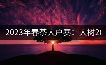 2023年春茶大戶賽：大樹(shù)200-300元／公斤，古樹(shù)800-1000元／公斤