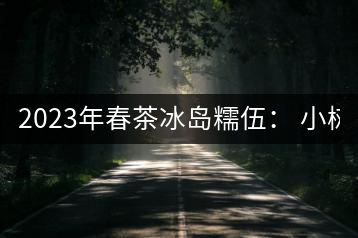 2023年春茶冰島糯伍： 小樹1300元／公斤，古樹：2100~2300元／公斤