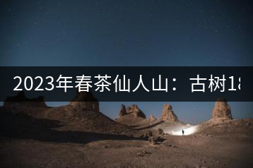 2023年春茶仙人山：古樹1800-2500元／公斤，老曼峨：小樹：600元／公斤 1600-1800元／公斤