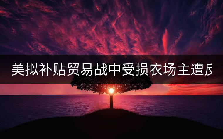 美擬補貼貿(mào)易戰(zhàn)中受損農(nóng)場主遭反對: 只要市場 美擬補貼貿(mào)易戰(zhàn)中受損農(nóng)場主遭反對: 只要市場
