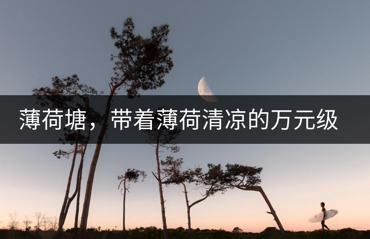 薄荷塘，帶著薄荷清涼的萬元級普洱