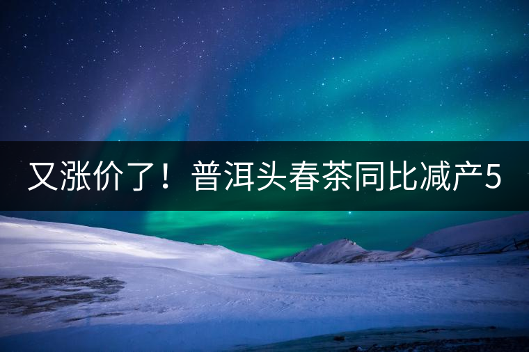 又漲價(jià)了！普洱頭春茶同比減產(chǎn)50%，薄荷塘一類鮮葉需當(dāng)面議價(jià)