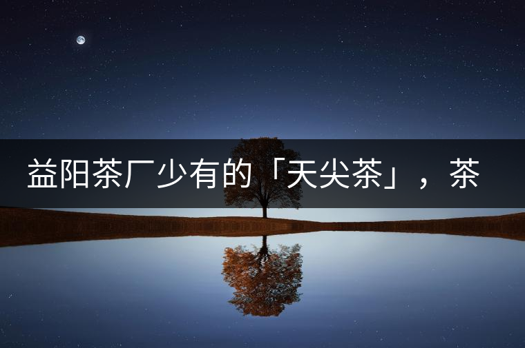 益陽茶廠少有的「天尖茶」，茶品升級，收藏趁早！