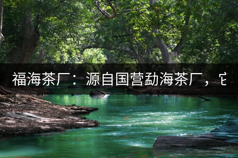 福海茶廠：源自國營勐海茶廠，它是99易武綠星星之母