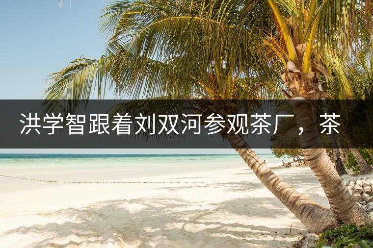 洪學(xué)智跟著劉雙河參觀茶廠，茶廠黃老板對(duì)賣苦力的百姓百般欺凌