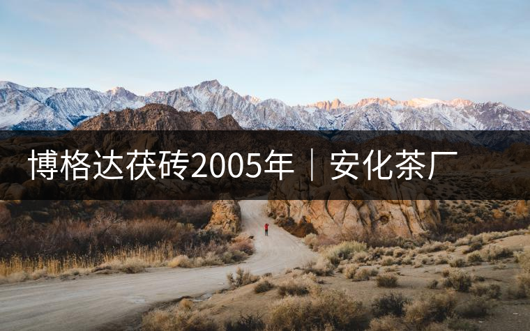 博格達(dá)茯磚2005年｜安化茶廠定制款，金花滿披，梅山韻濃！