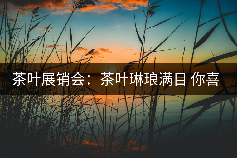 茶葉展銷會：茶葉琳瑯滿目 你喜歡哪種？