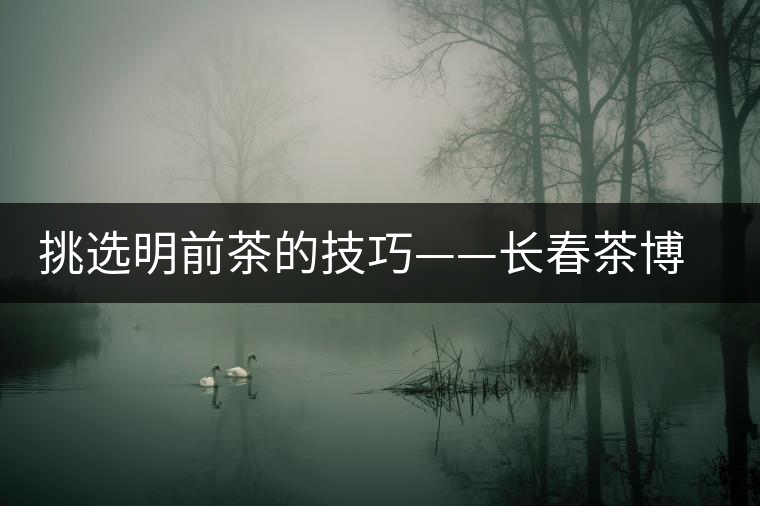 挑選明前茶的技巧——長春茶博會(huì) 挑選明前茶的技巧——長春茶博會(huì)