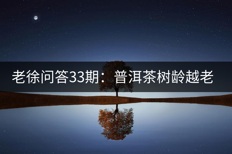 老徐問答33期：普洱茶樹齡越老越貴，那100年樹齡的老班章呢？